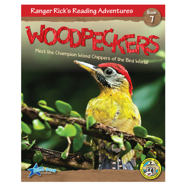 Woodpeckers 6-Pack