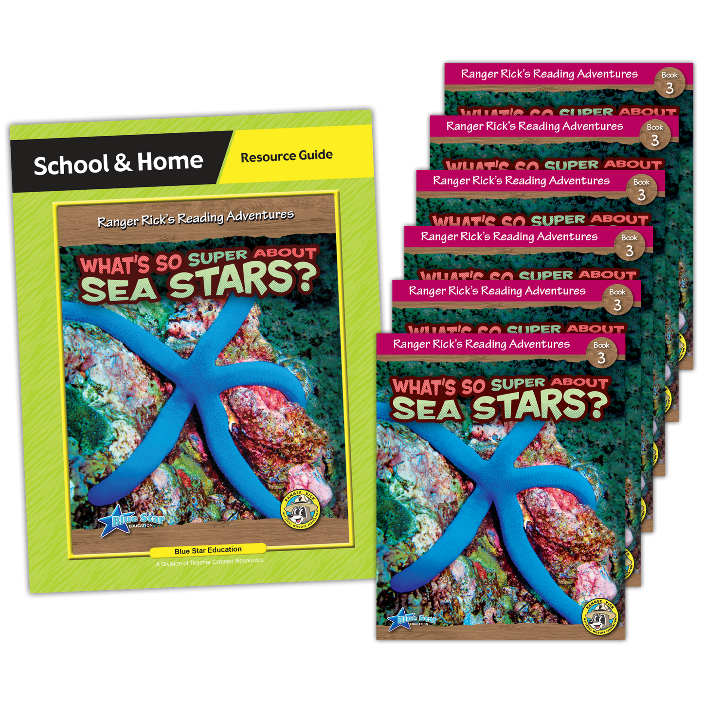 Ranger Rick's Reading Adventures: What's So Super About Sea Stars? - Level Q Book Room