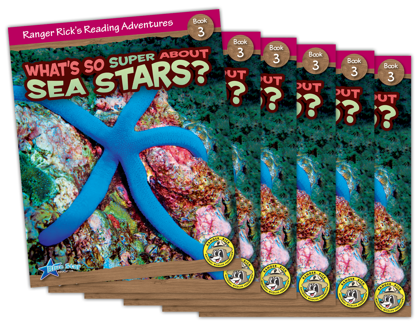 What's So Super About Sea Stars 6-Pack