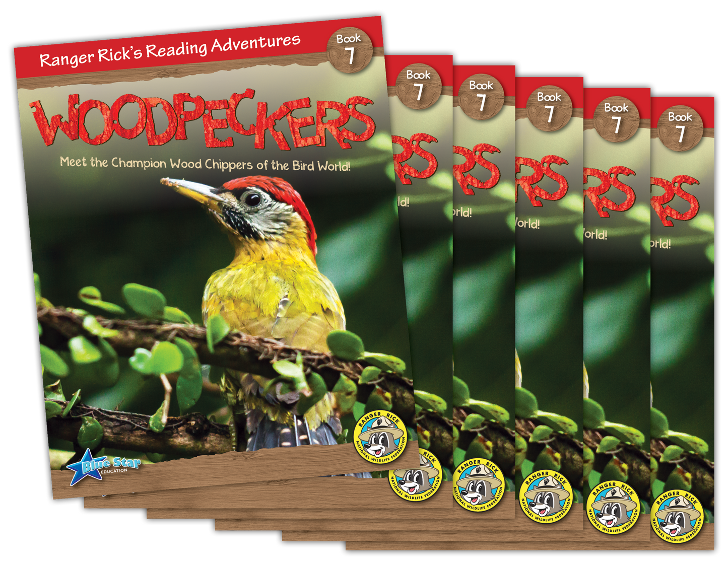 Woodpeckers 6-Pack