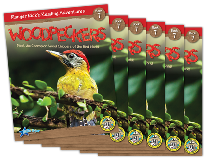 Woodpeckers 6-Pack